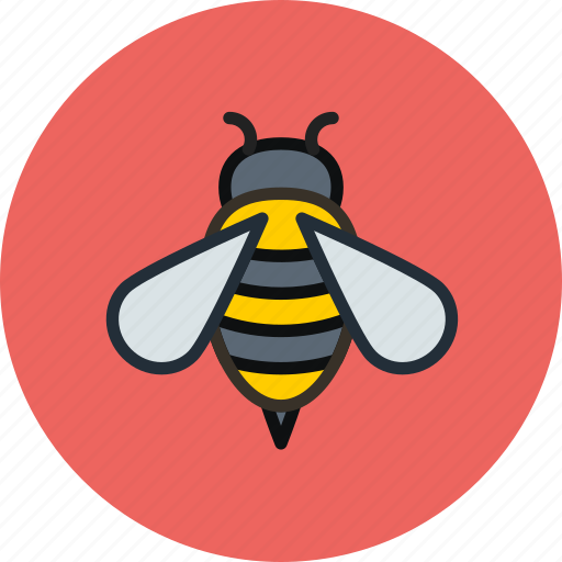 Bee, bug, ecology, insect icon - Download on Iconfinder