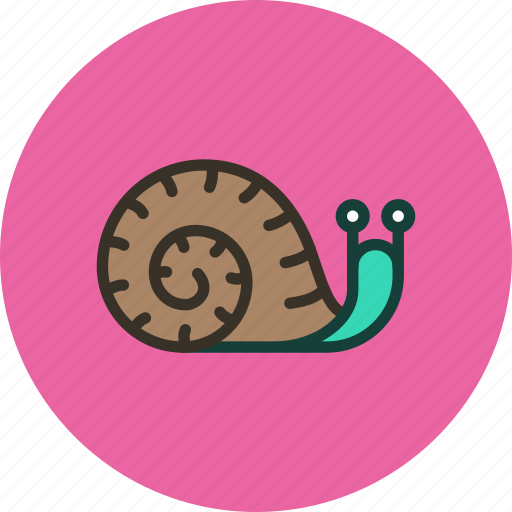 Animal, helix, home, long, nature, slow, snail icon - Download on Iconfinder