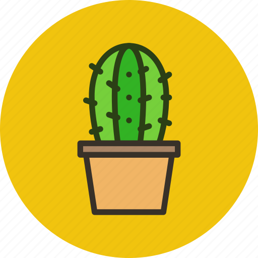 Cactus, plant, pot icon - Download on Iconfinder