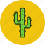 cactus, desert, plant 