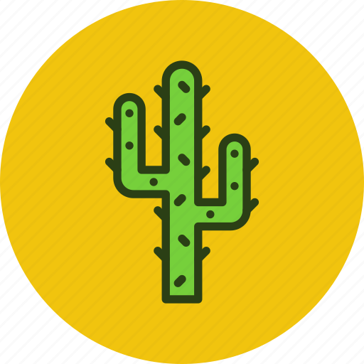 Cactus, desert, plant icon - Download on Iconfinder
