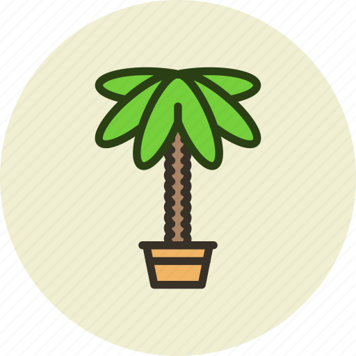 Decoration, home, nature, palm, plant icon - Download on Iconfinder