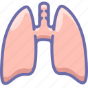 anatomy, lungs