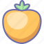 fruit, persimmon 
