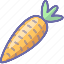 carrot, vegetable
