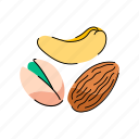 nut, cashew, almond