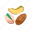 nut, cashew, almond 