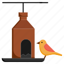bottle as bird house, house, upcycling, plastic bottle, creative reuse, sparrow, diy ideas
