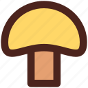 mushroom, user interface, vegetable, food