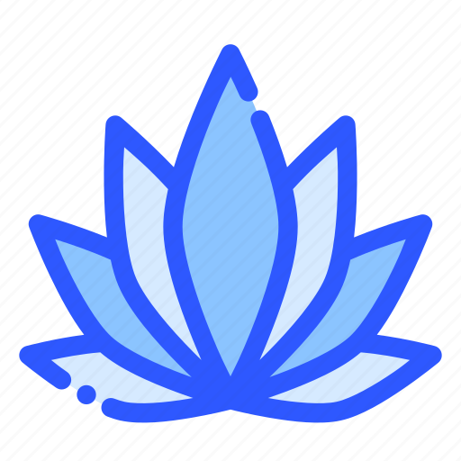 Lotus, floral, flower, nature, plant icon - Download on Iconfinder