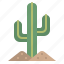 cactus, naure, plant, summer 