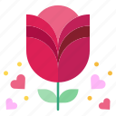 rose, flower, botanical, love, heart