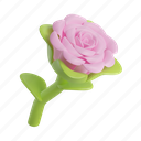 rose, valentine, flower, romance, heart, love, plant 