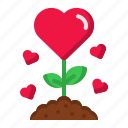 plant, heart, love, flower, romance, valentines