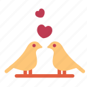 love birds, birds, love and romance, valentine, heart