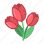 red, tulip, flower, valentine 