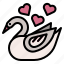 valentineday, swan, animal, bird, duck, goose 