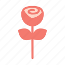 flower, romantic, love, valentine, rose