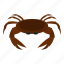 animal, brown, claw, crab, ocean, sea, seafood 