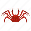animal, claw, crab, crustacean, ocean, sea, seafood 