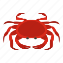 animal, claw, crab, crustacean, ocean, sea, seafood