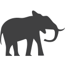 endangered, elephant
