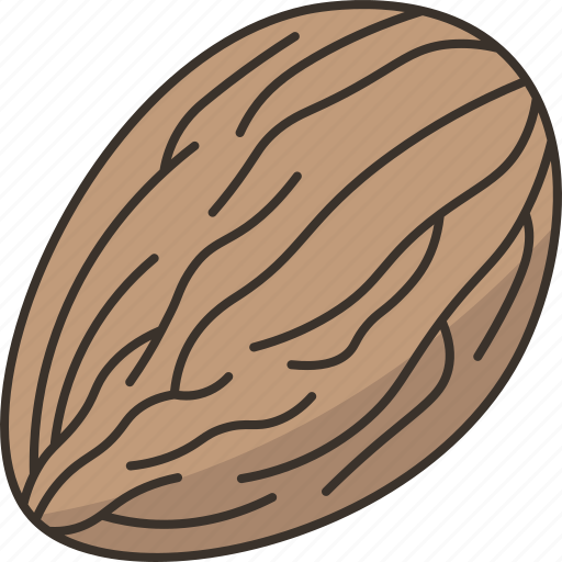 Almond, nut, protein, nutrition, healthy icon - Download on Iconfinder