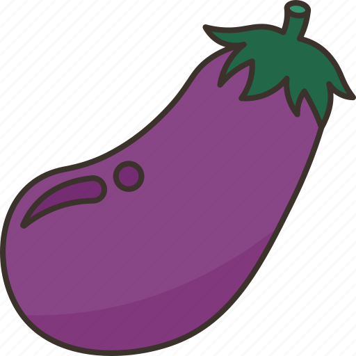 Eggplant, vegetable, ingredient, organic, food icon - Download on Iconfinder