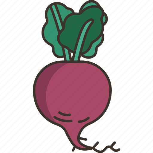 Radish, food, vegetable, fresh, organic icon - Download on Iconfinder