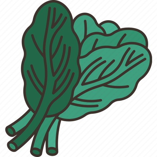 Spinach, leaf, garnish, cooking, ingredient icon - Download on Iconfinder