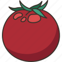 tomato, vegetable, ripe, vitamins, ingredient
