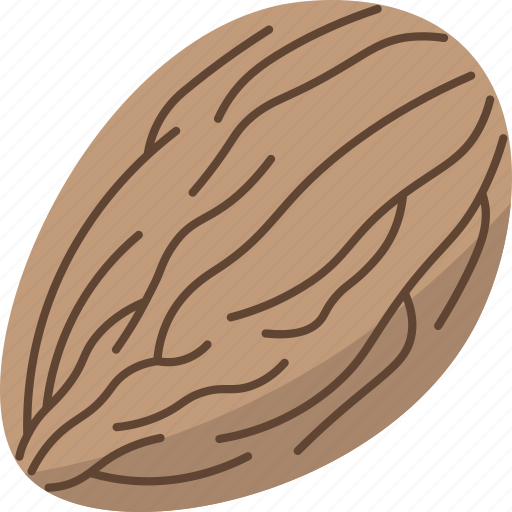 Almond, nut, protein, nutrition, healthy icon - Download on Iconfinder