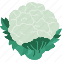cauliflower, food, ingredient, nutrition, agriculture