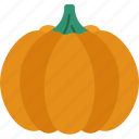 pumpkin, squash, vegetable, food, harvest