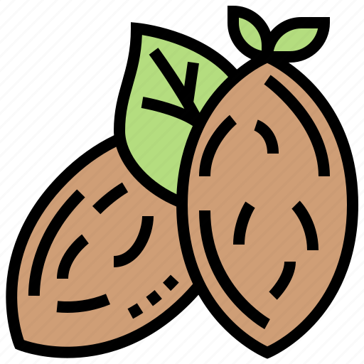 Almond, fruit, natural, nut, organic icon - Download on Iconfinder