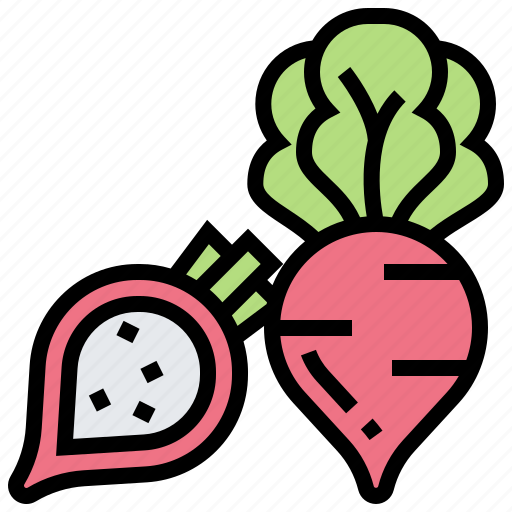 Fresh, ingredient, natural, radish, salad icon - Download on Iconfinder