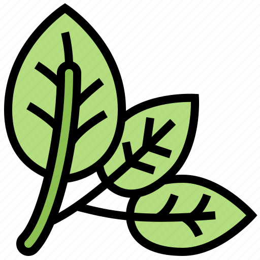 Ingredient, leaves, organic, spinach, vegetable icon - Download on Iconfinder