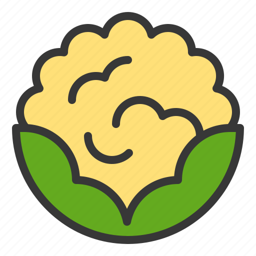 Cauliflower, food, healthy, vegan, vegetable, vegetarian icon - Download on Iconfinder