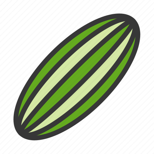 Cucumber, food, healthy, vegan, vegetable, vegetarian icon - Download on Iconfinder