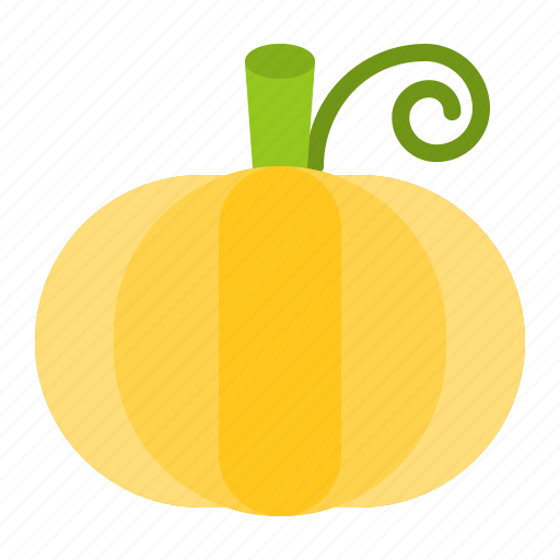 Food, healthy, pumpkin, vegan, vegetable, vegetarian icon - Download on Iconfinder