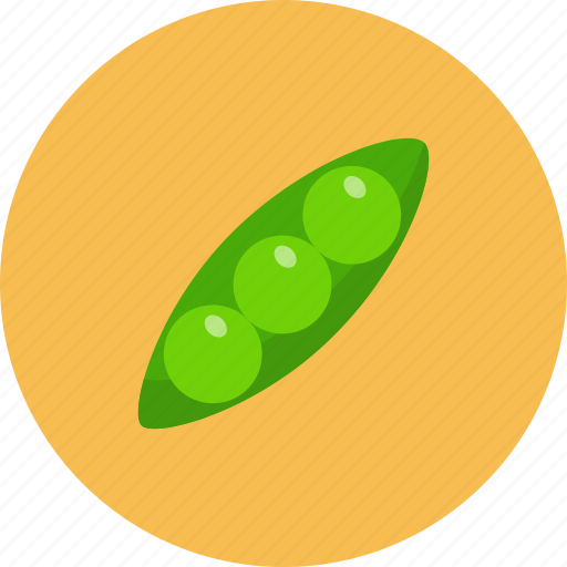 Beans, broad, food, food health, green, vegetable icon - Download on Iconfinder