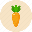 carrot, food, food health, green, vegetable 
