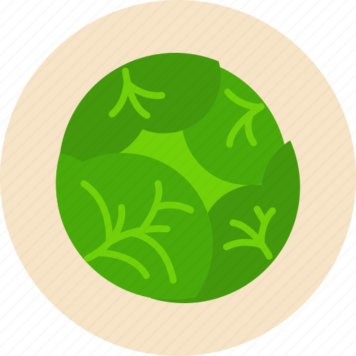 Cabbage, food, food health, green, vegetable, white icon - Download on Iconfinder