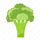 broccoli, vegetable, healthy, food, vegetables, cooking, diet, organic, cauliflower