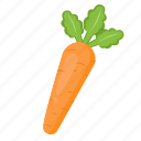 carrot, vegetable, food, healthy, diet, cooking, organic, vegetables