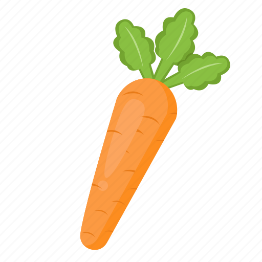 Carrot, vegetable, food, healthy, diet, cooking, organic icon - Download on Iconfinder