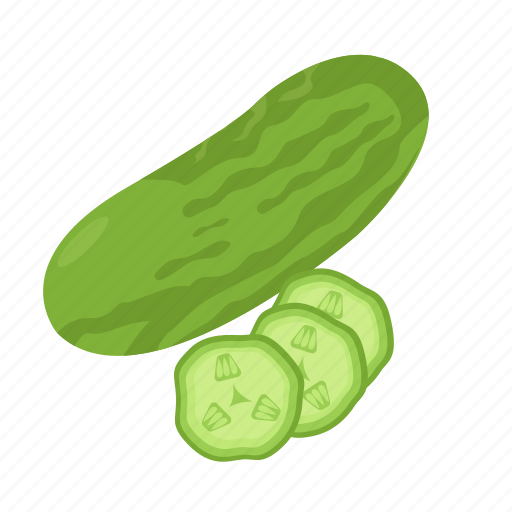 Cucumber, vegetable, vegetable icon, vegetable illustration, vegetables, cooking, green icon - Download on Iconfinder