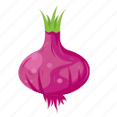 red, onion, vegetable, food, healthy, cooking
