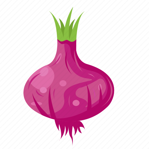 Red, onion, vegetable, food, healthy, cooking icon - Download on Iconfinder