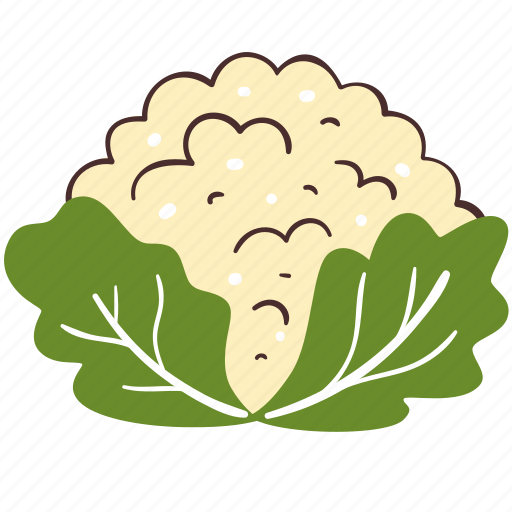 Cauliflower, food, cooking, vegetable, ingredient icon - Download on Iconfinder